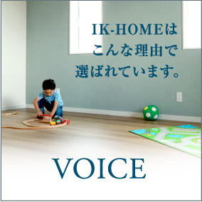 voice