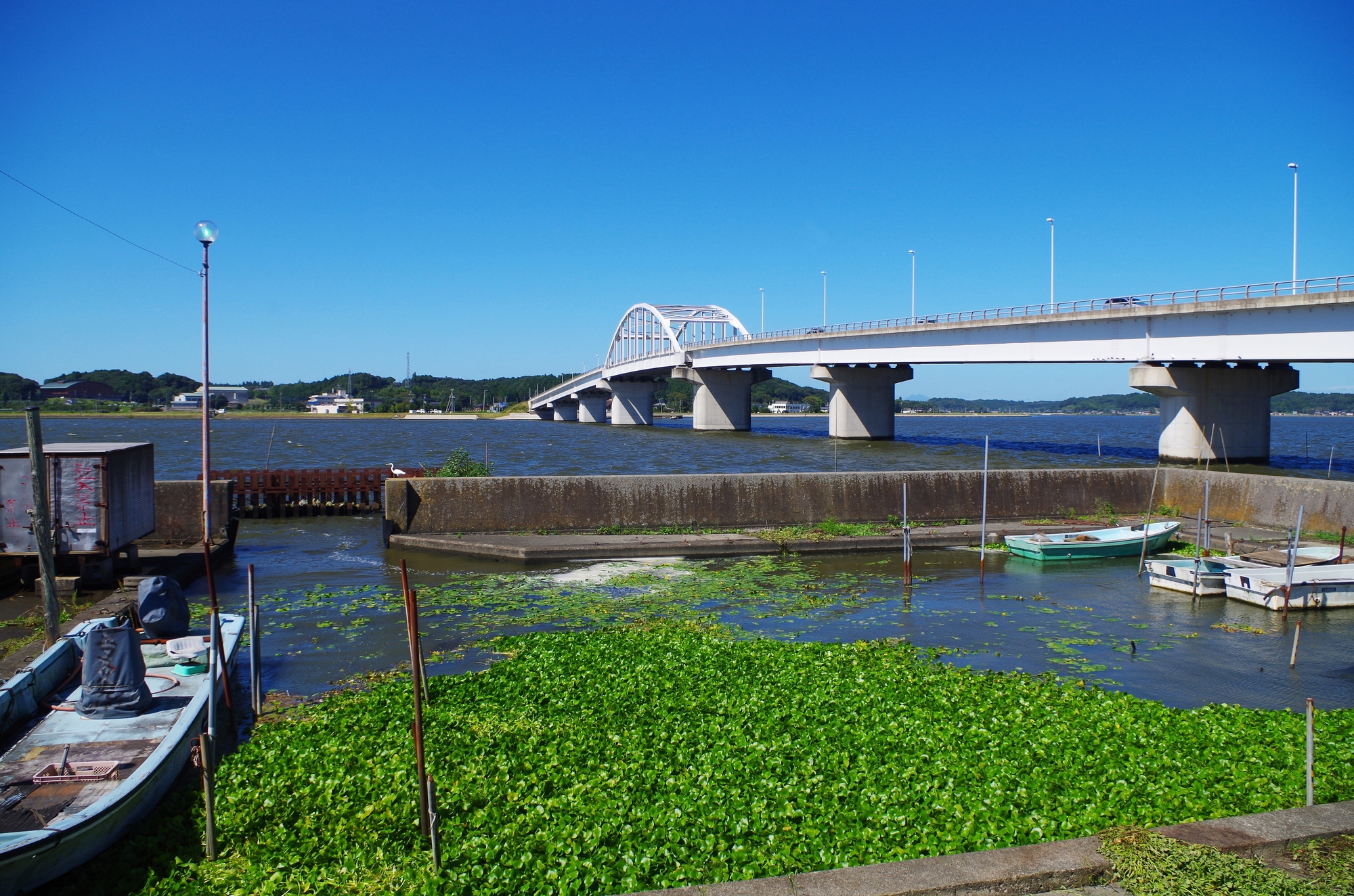 関東で地方移住を考えるなら鹿行地域がおすすめの理由