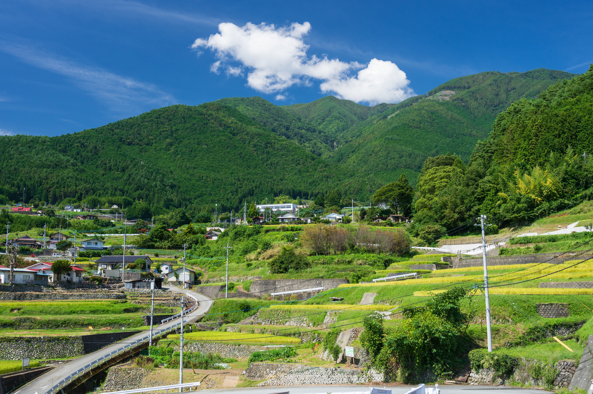 地方移住はやめとけ・デメリットしかないといわれる理由7選