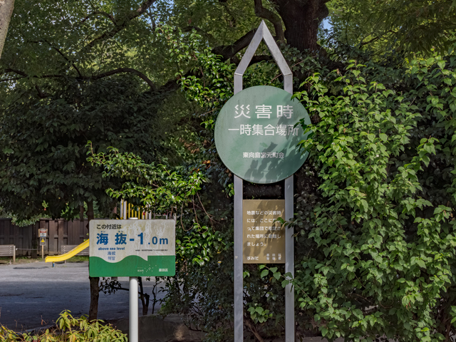低地の種類と土地の高さによる違い