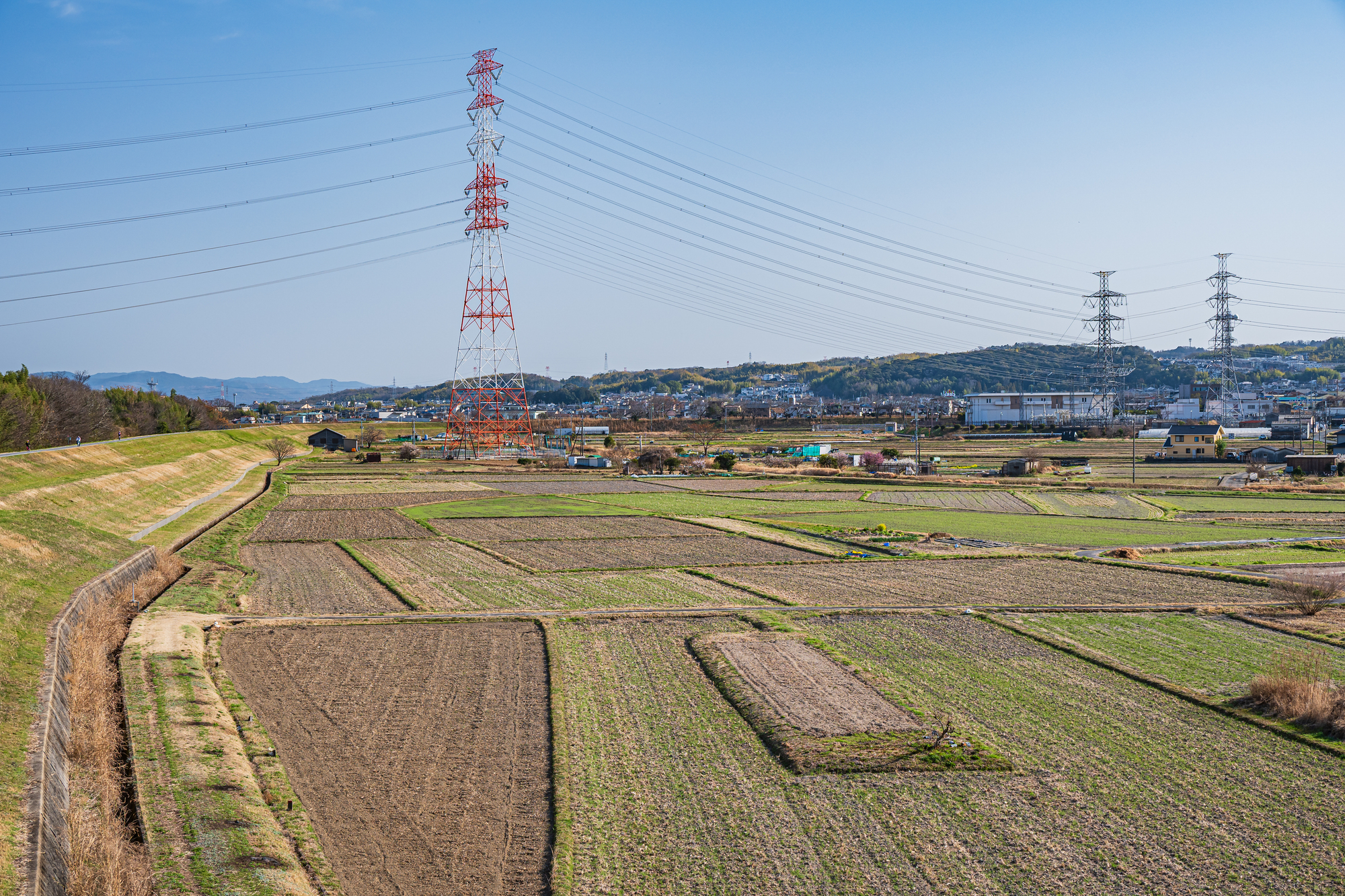 農地を宅地にして家を建てることは可能か
